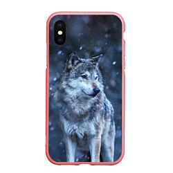 Чехол iPhone XS Max матовый Лесной волк