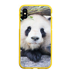 Чехол iPhone XS Max матовый Панда отдыхает, цвет: 3D-желтый