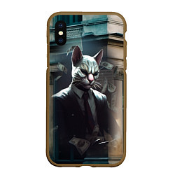 Чехол iPhone XS Max матовый Payday 3 cat bank