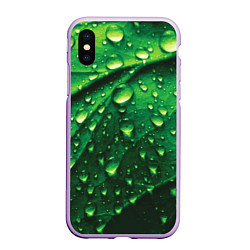 Чехол iPhone XS Max матовый Утренняя роса