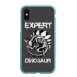 Чехол iPhone XS Max матовый Dinosaur expert, цвет: 3D-мятный