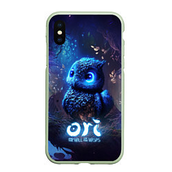 Чехол iPhone XS Max матовый Ku Ori and the Will of the Wisps