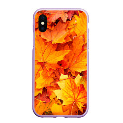 Чехол iPhone XS Max матовый Осень - клиновые листья