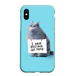 Чехол iPhone XS Max матовый I have resing cat face