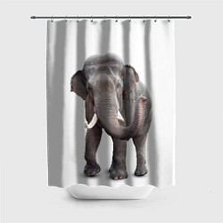 Шторка для душа Большой слон, цвет: 3D-принт