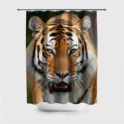 Шторка для душа Рык тигра, цвет: 3D-принт
