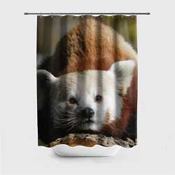 Шторка для душа Красная панда ждёт, цвет: 3D-принт