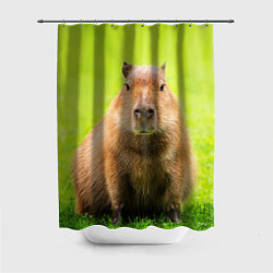 Шторка для душа Capybara on green grass, цвет: 3D-принт