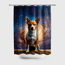 Шторка для душа Басенджи в космосе, цвет: 3D-принт