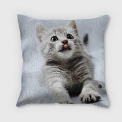 Подушка квадратная Серый котенок, цвет: 3D-принт