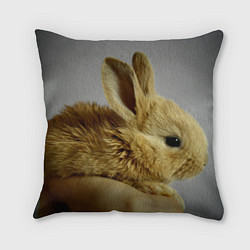 Подушка квадратная Маленький кролик, цвет: 3D-принт