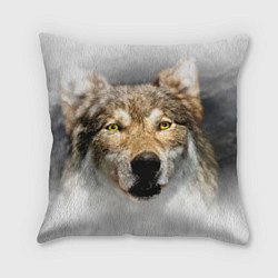 Подушка квадратная Волк: зима, цвет: 3D-принт