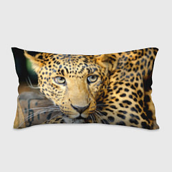Подушка-антистресс Улыбка леопарда, цвет: 3D-принт