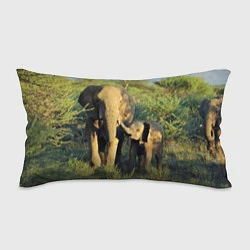 Подушка-антистресс Семья слонов в природе