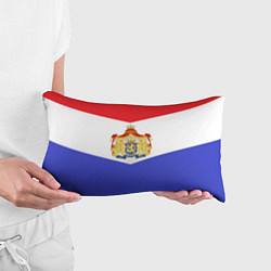 Подушка-антистресс Флаг и герб Голландии, цвет: 3D-принт — фото 2