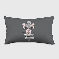 Подушка-антистресс Криминальный кот, цвет: 3D-принт