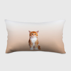 Подушка-антистресс Бело-рыжий котенок реализм, цвет: 3D-принт
