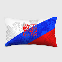 Подушка-антистресс Не топтать врагам зелю русскую - триколор, цвет: 3D-принт