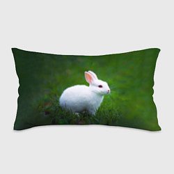 Подушка-антистресс Кролик на фоне травы, цвет: 3D-принт