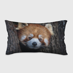 Подушка-антистресс Крaсная панда, цвет: 3D-принт