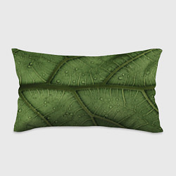 Подушка-антистресс Текстура зелёной листы, цвет: 3D-принт