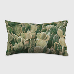 Подушка-антистресс Поле кактусов