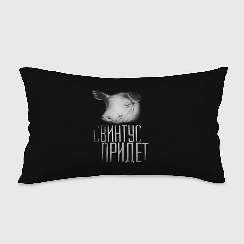 Подушка-антистресс Свинтус придёт / 3D-принт – фото 2