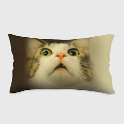 Подушка-антистресс Удивленный кот - мем крупным планом