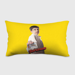 Подушка-антистресс Фогель суперперцы