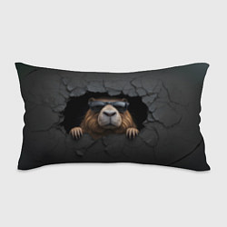 Подушка-антистресс Капибара в стене