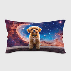 Подушка-антистресс Мальтипу в космосе, цвет: 3D-принт