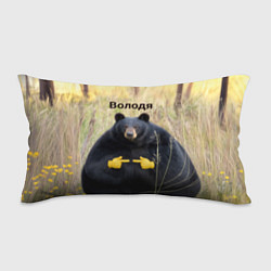 Подушка-антистресс Володя - мишка, цвет: 3D-принт