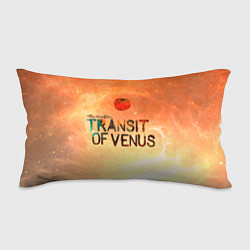 Подушка-антистресс TDG: Transin of Venus