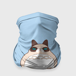 Бандана-труба Тоторный кот, цвет: 3D-принт