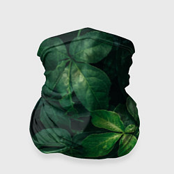 Бандана-труба Тропическая листва Тропики Z, цвет: 3D-принт