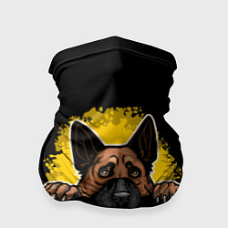 Бандана-труба Немецкая Овчарка German Shepherd, цвет: 3D-принт