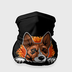 Бандана Басенджи Basenji