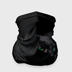 Бандана Черна кошка с изумрудными глазами