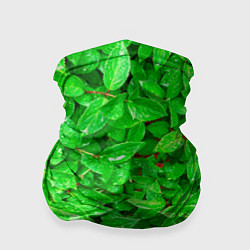 Бандана-труба Зелёные листья - текстура, цвет: 3D-принт