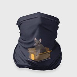 Бандана-труба Кошка в коробке, цвет: 3D-принт