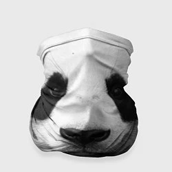Бандана-труба Взгляд панды, цвет: 3D-принт