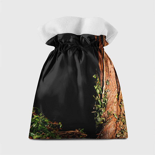 Подарочный мешок Тигр выглядывает из темноты - большая картинка / 3D-принт – фото 2