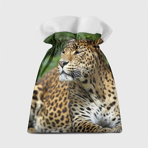 Подарочный мешок Лик леопарда / 3D-принт – фото 2
