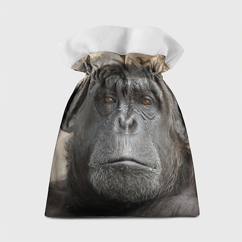 Подарочный мешок Глаза гориллы / 3D-принт – фото 2
