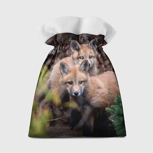 Подарочный мешок Лисички фото / 3D-принт – фото 2