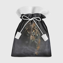 Мешок для подарков Тигр в тумане, цвет: 3D-принт