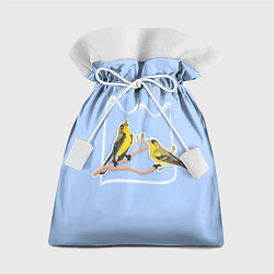Мешок для подарков Певчие птицы, цвет: 3D-принт