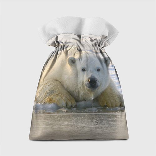 Подарочный мешок Белый медведь ожидает / 3D-принт – фото 2