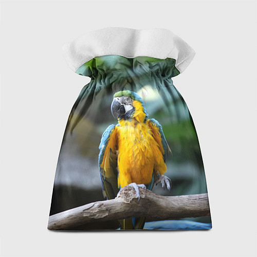 Подарочный мешок Красавец попугай / 3D-принт – фото 2