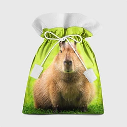 Мешок для подарков Capybara on green grass, цвет: 3D-принт